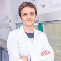 Dr. Federica Marchesi