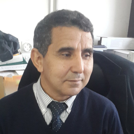 Prof. Mohamed Hafidi