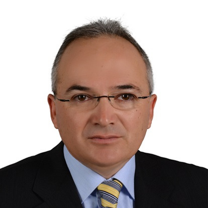 Prof. Metin S. Sezen