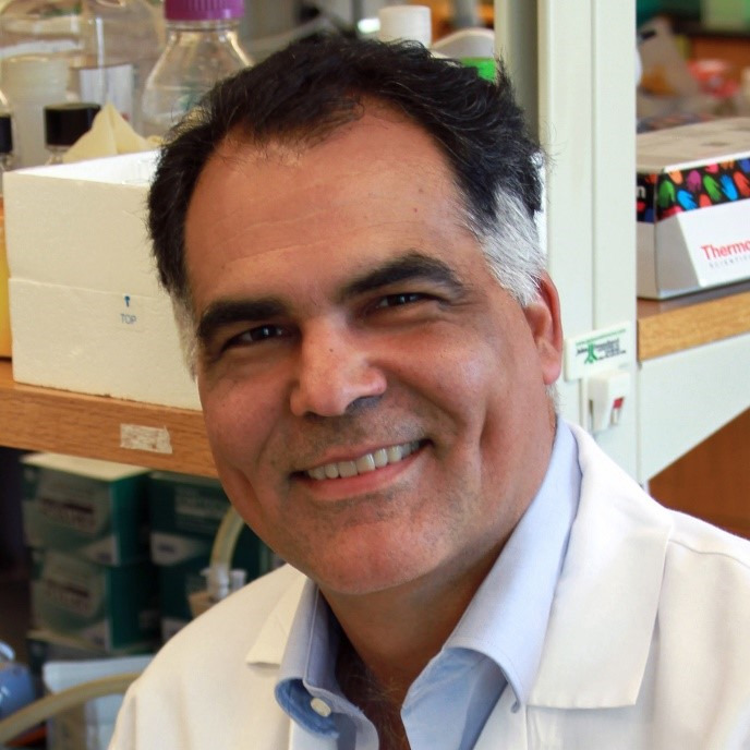Prof. Dr. Carlos S. Moreno
