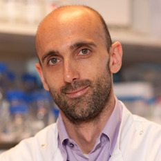 Prof. Dr. Christian Frezza