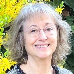 Prof. Dr. Carmen Andrade