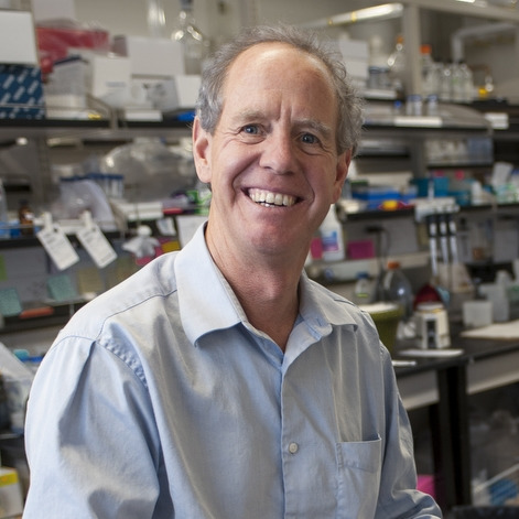Prof. Dr. Mark Young