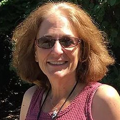 Prof. Dr. Anne Simon