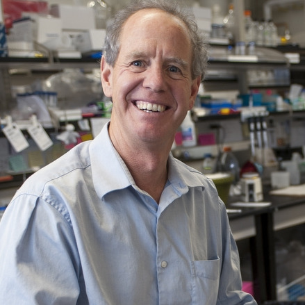 Prof. Dr. Mark Young