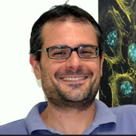 Prof. Dr. Maurizio Ventre