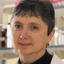 Prof. Dr. Larisa Poluektova
