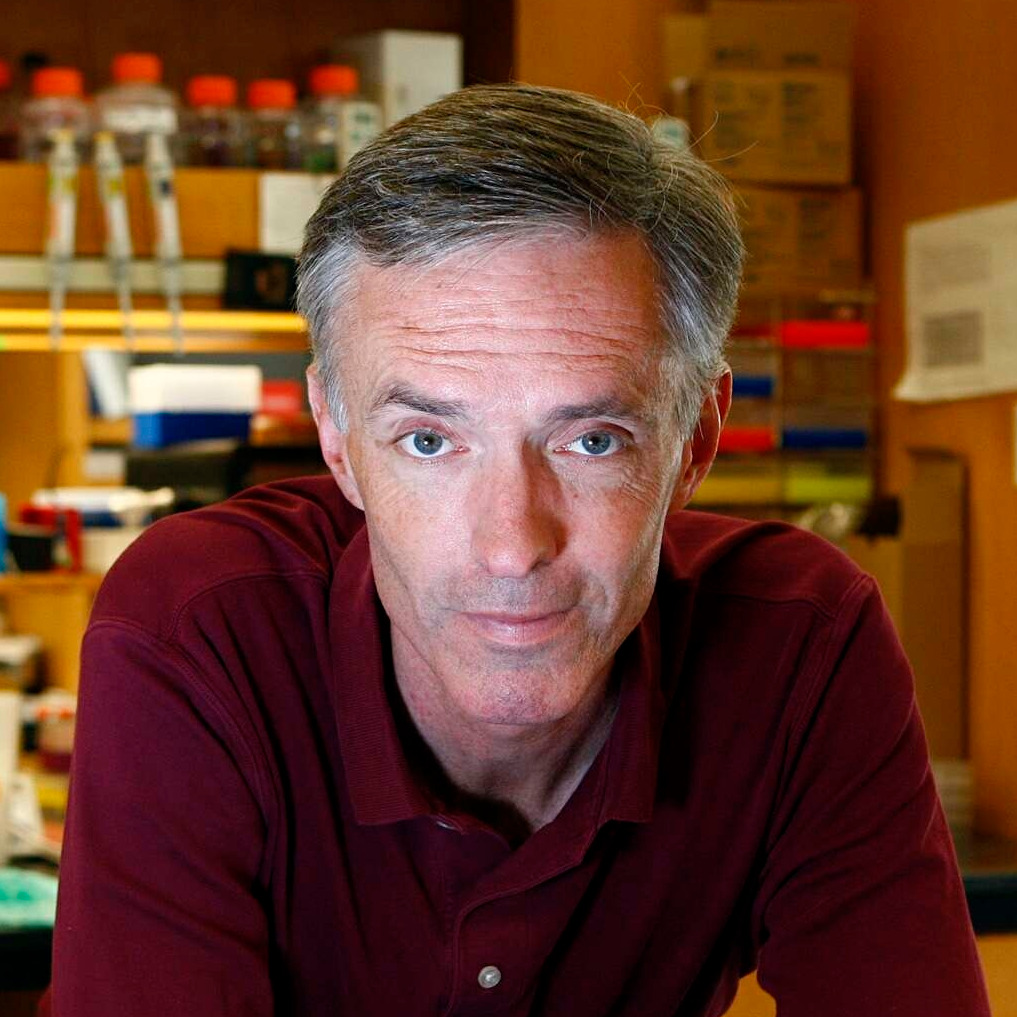 Prof. James J. Collins