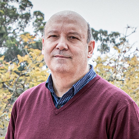 Prof. Dr. Jorge Manuel P.L. Canhoto