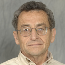 Prof. Dr. Anatoly Gitelson
