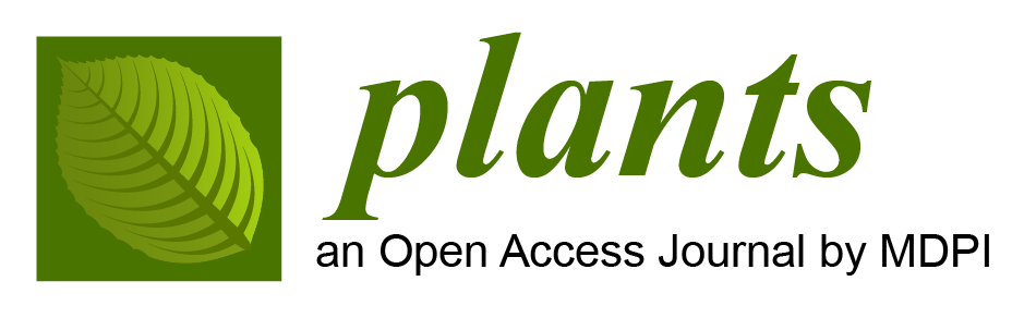 Plants