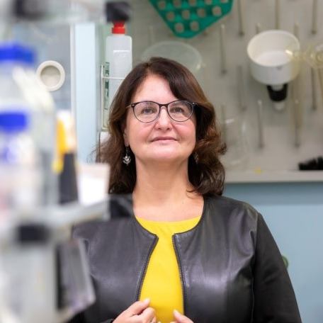 Prof. Dr. Gabriele Berg
