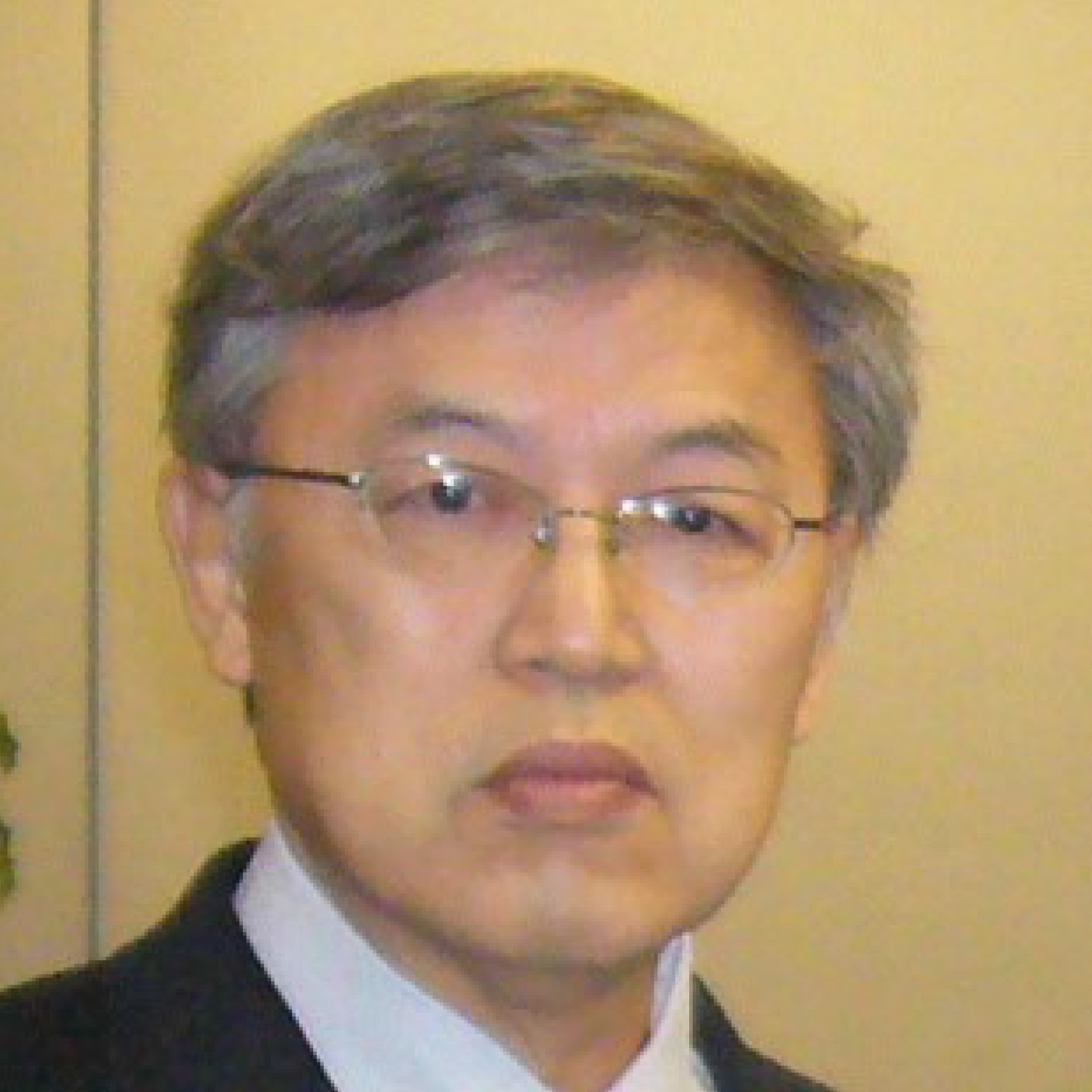 Prof. Dr. Atsushi Mase