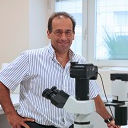 Dr. Alfredo Berzal-Herranz