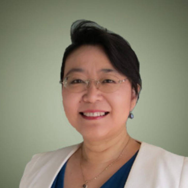 Prof. Lan Ding