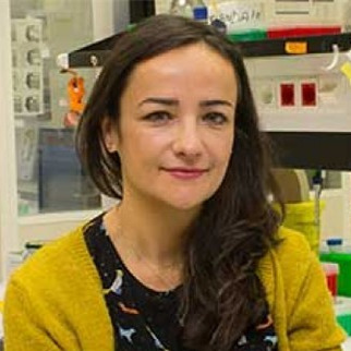 Dr. Maite Huarte