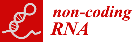 Non-Coding RNA