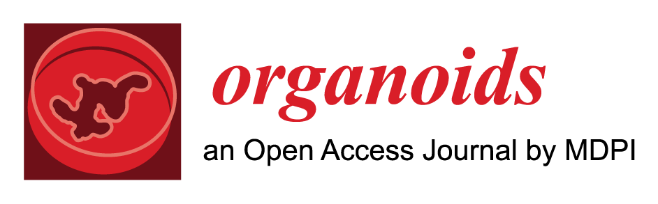 Organoids