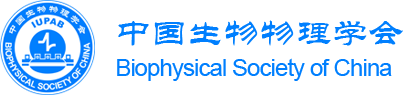 Free Radical Biology and Medicine Branch of the Biophysical Society of China