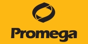 Promega AG