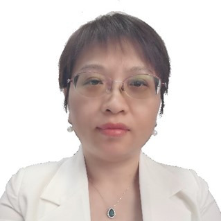 Prof. Dr. Lin Han