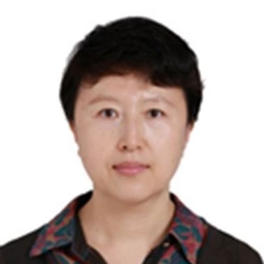 Prof. Dr. Yinghui Li
