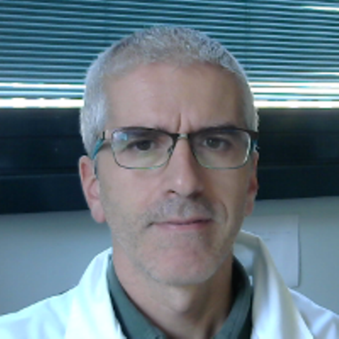 Dr. Daniele Ghezzi