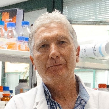 Prof. Dr. José A. Sánchez-Alcázar