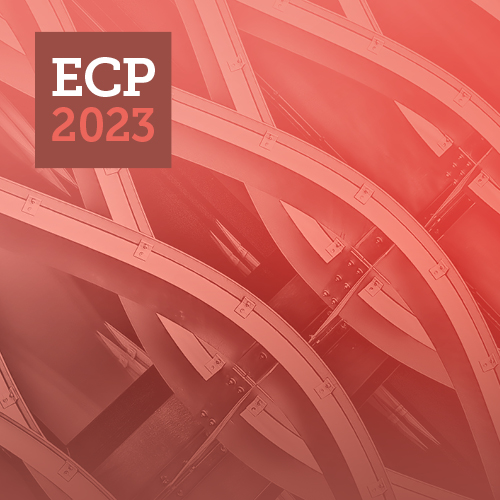 International Electronic Conference on Processes (ECP)