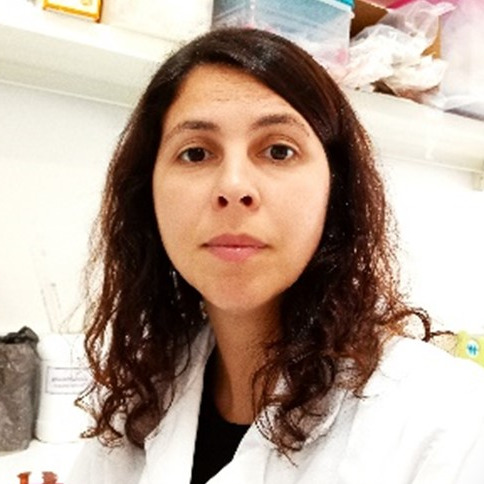 Dr. Sónia Correia
