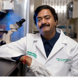Prof. Dr. Vishwanath Venketaraman