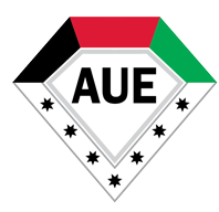 American University in the Emirates