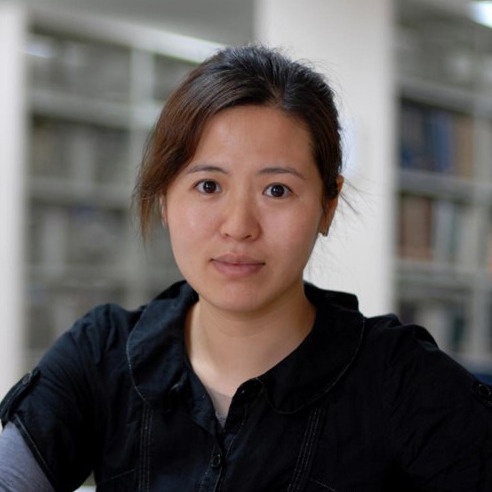Prof. Dr. Xiying Wang