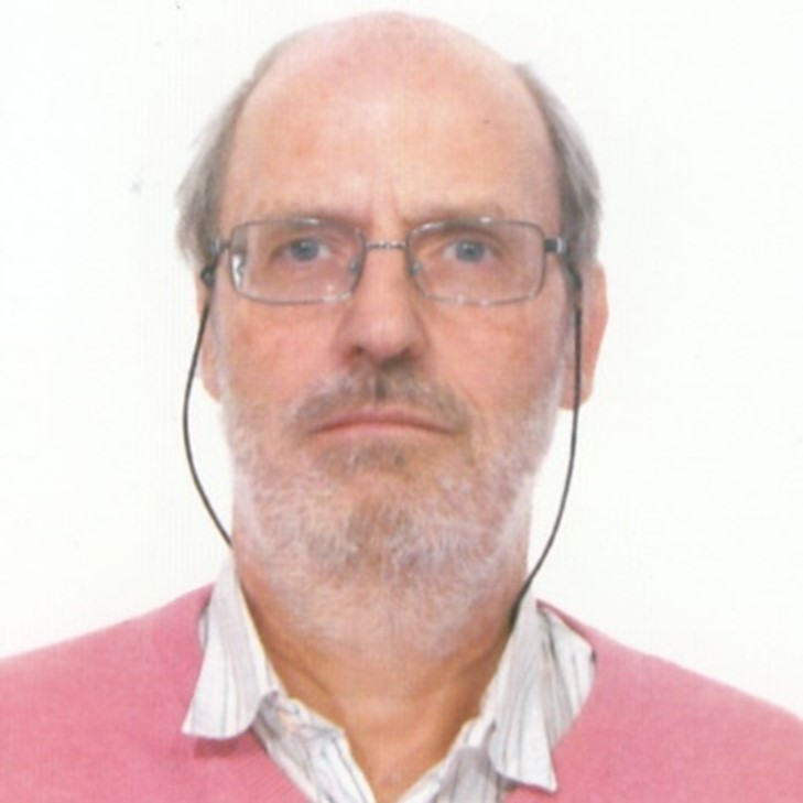 Prof. Dr. Flavio Crisanti