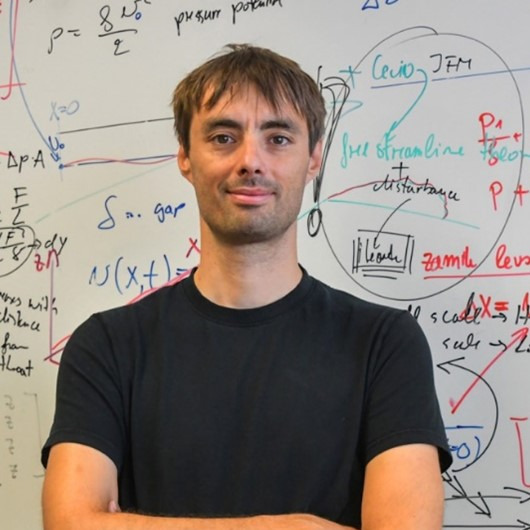 Prof. Dr. Matevž Dular
