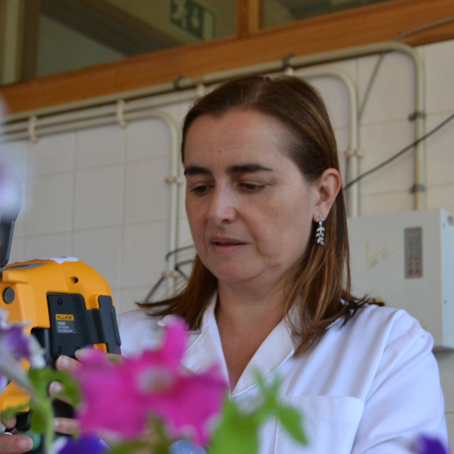 Prof. Dr. Eunice Areal Bacelar