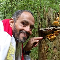 Prof. Dr. Ahmed M. Abdel-Azeem
