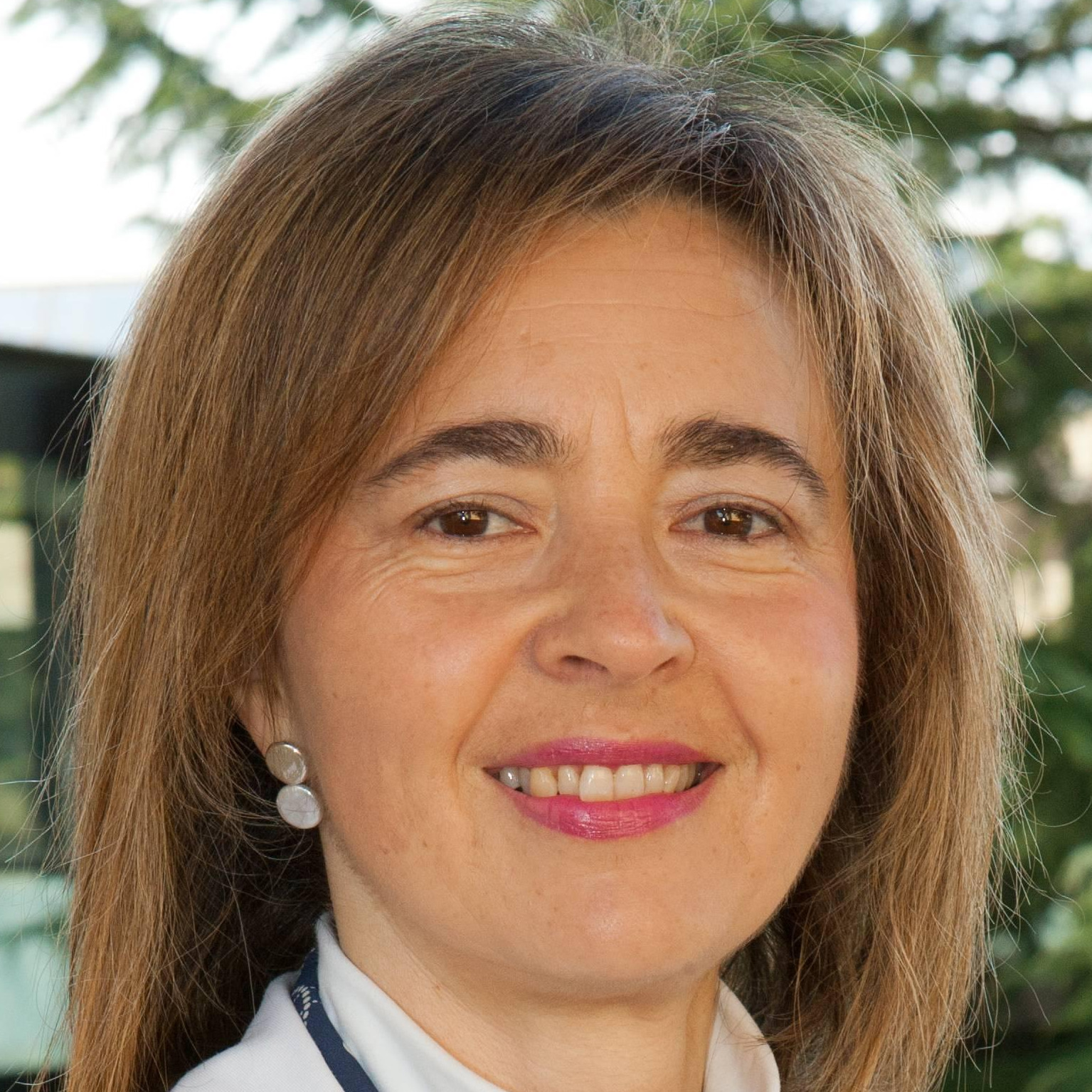 committee member profile