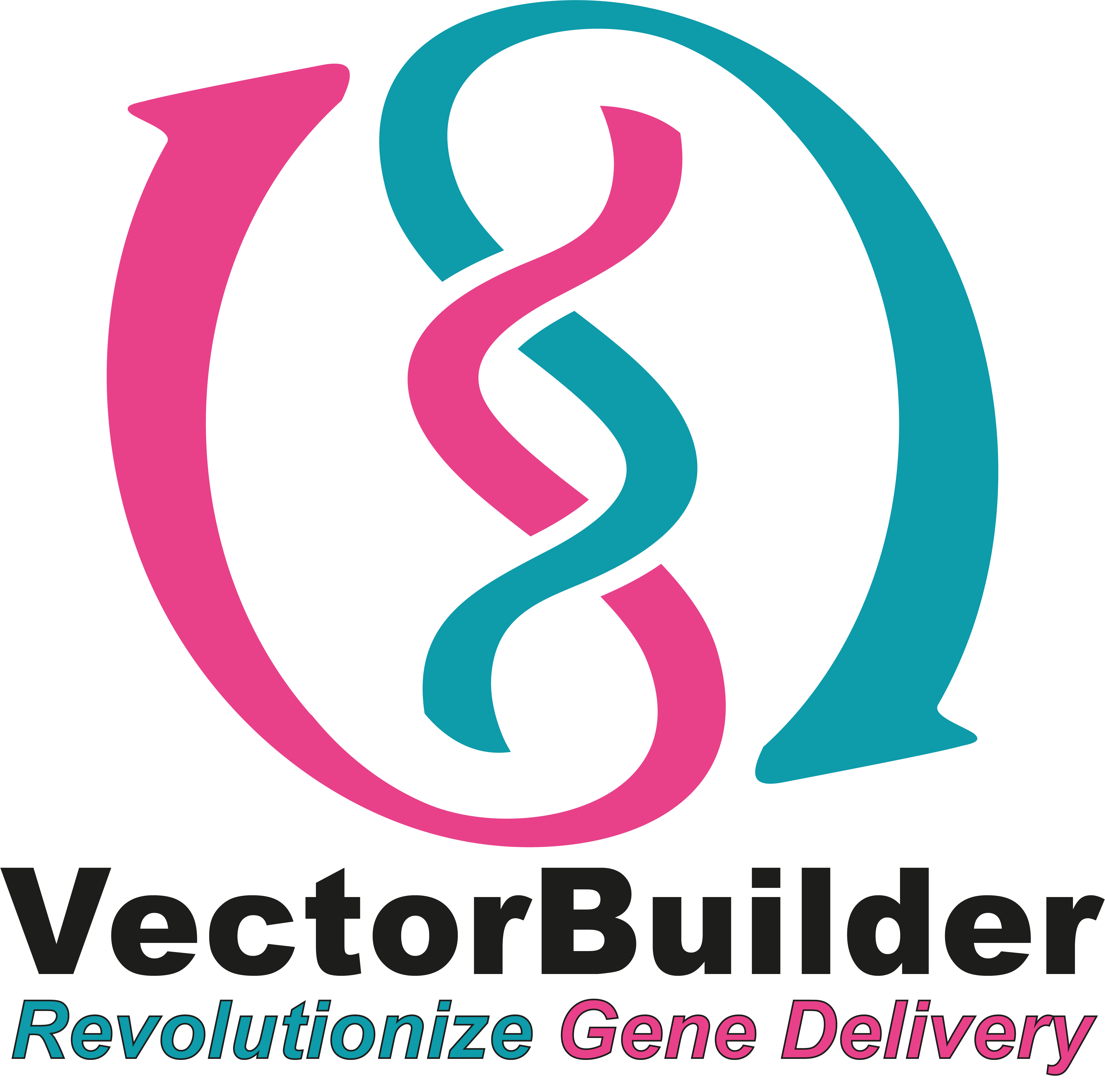 VectorBuilder