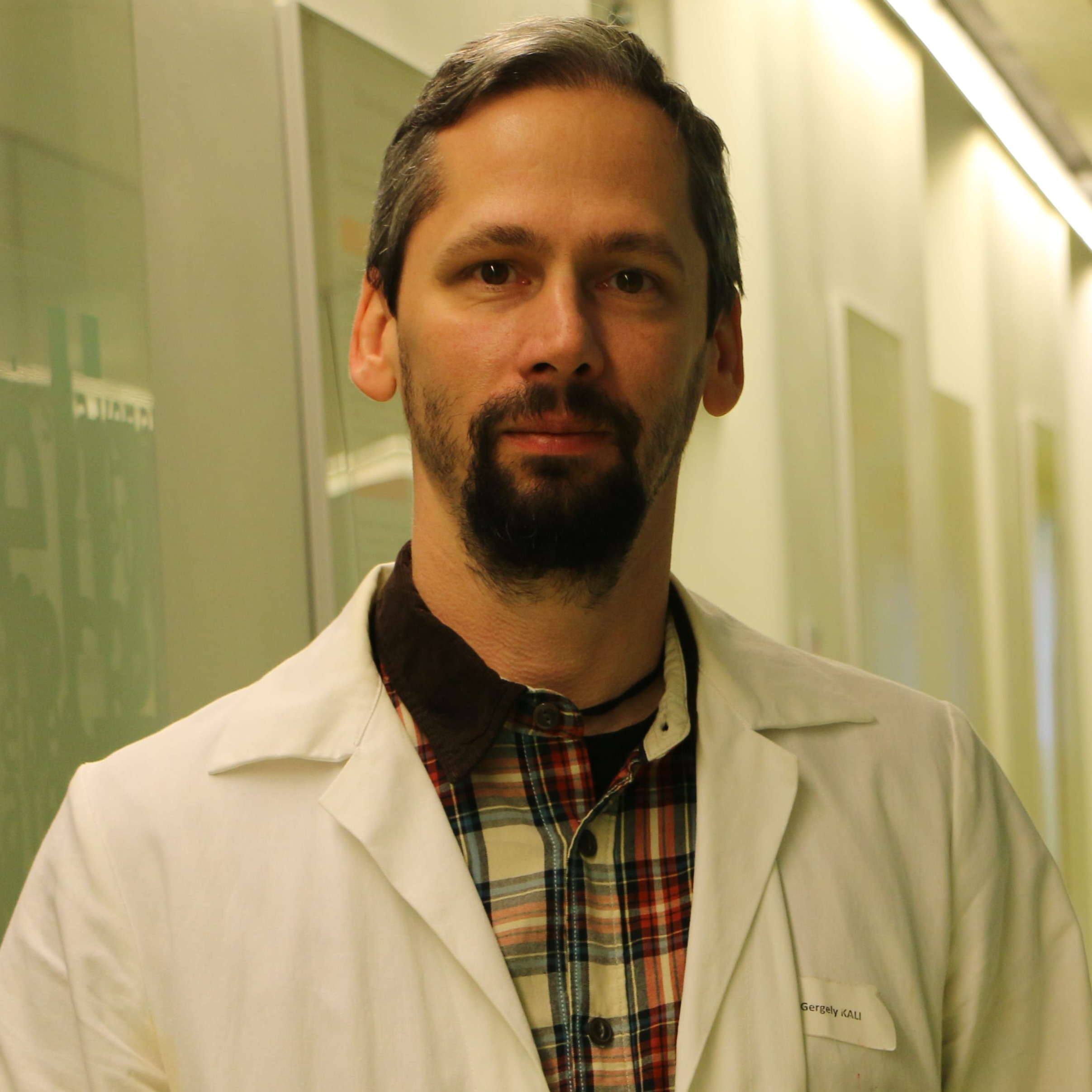 Dr. Gergely Kali