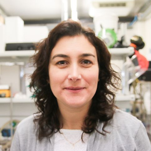 Dr. Olívia Salomé Soares