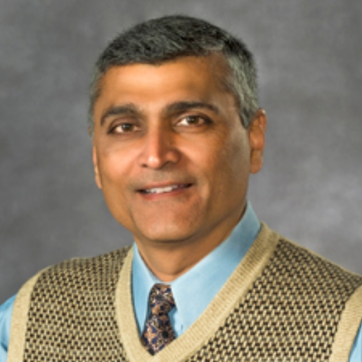 Prof. Dr. Umesh Desai