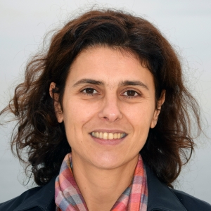 committee member profile