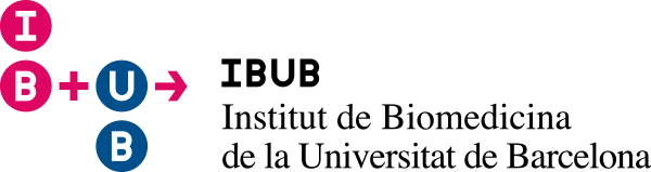 IBUB