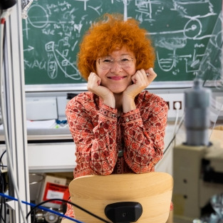 Prof. Dr. Ille C. Gebeshuber
