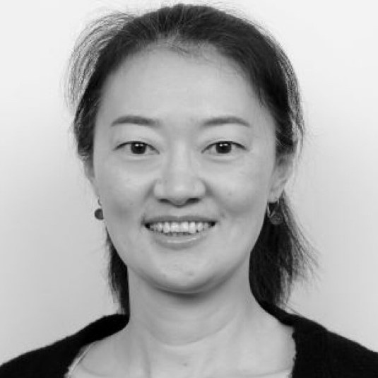 Prof. Jianying He