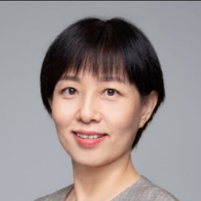 Prof. Dr. Lei Ren