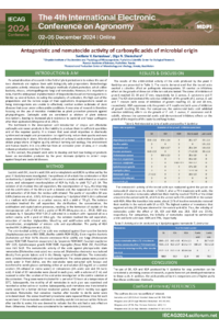 Kamzolova_Shemshura_Poster.pdf