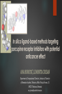 Borota-presentation.pdf
