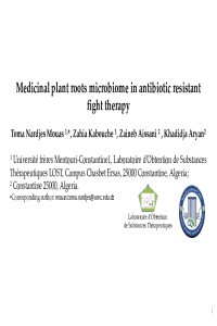 Presentation 5.pdf